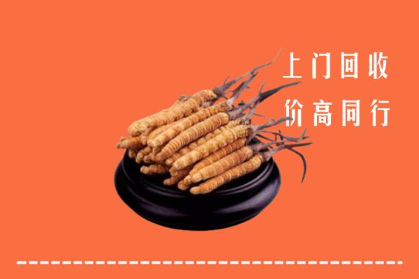 高价求购：调兵山市回收散虫草