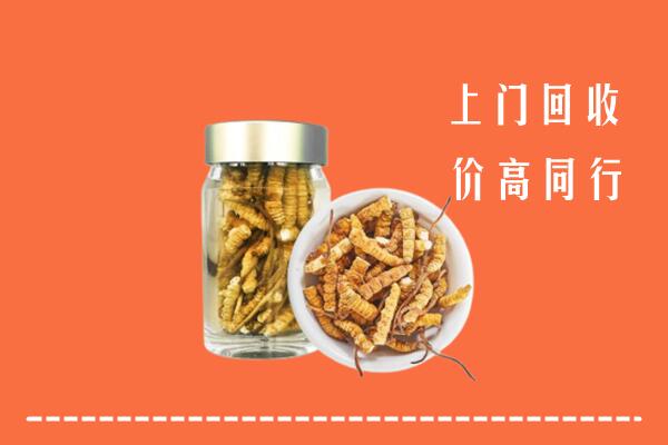 调兵山市回收冬虫夏草
